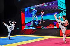 1st virtual world taekwondo tourney completed in Singapore