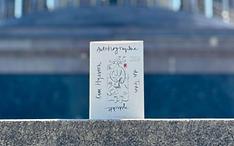 Поэтесса Ким Хе Сун удостоена Международной литературной премии Германии
